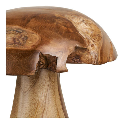 Decoratie paddestoelen set van 2 teakhout naturel