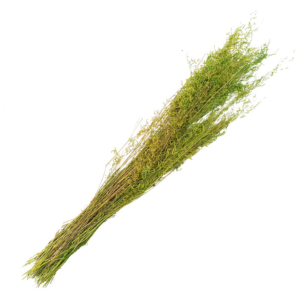 Droogboeket 90 cm groen