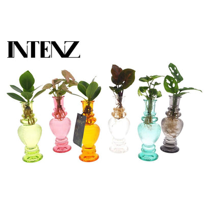 Kamerplanten mix 6 stuks Ø7 cm