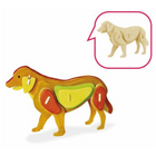 Robotime 3D Wooden Puzzle Dog, JP111B, 20x7.5x15cm