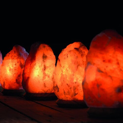 Himalaya Zoutlamp Met Houtenvoet Oranje 18 Tot 22 Kilo