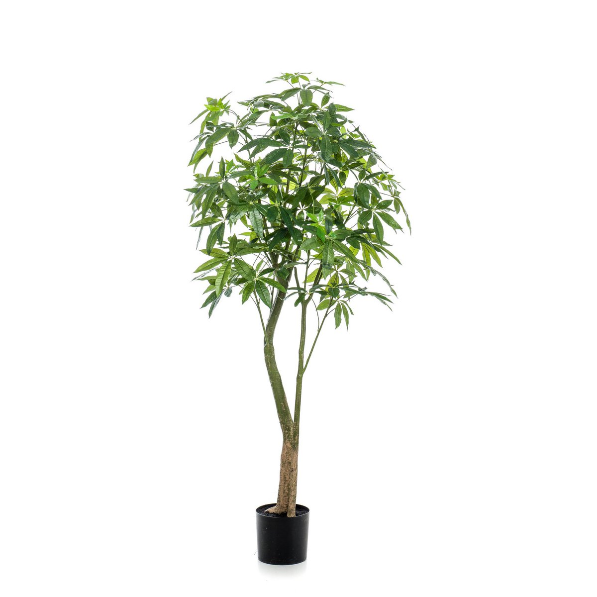 Kunstplant Geldboom Pachira Aquatica 180 cm groen