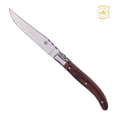 Laguiole steakmessen set 6 stuks rood zwart bruin