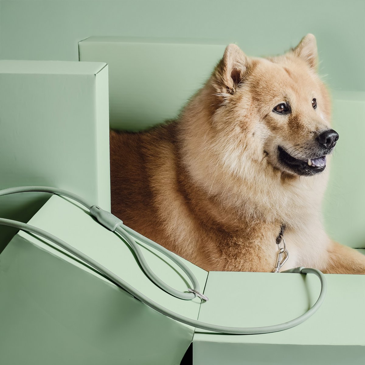 NE & No® Dog Leash "Loft Style" - Weatherproof