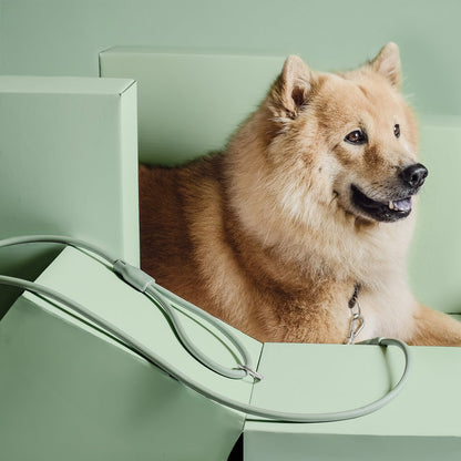 NE & No® Dog Leash "Loft Style" - Weatherproof