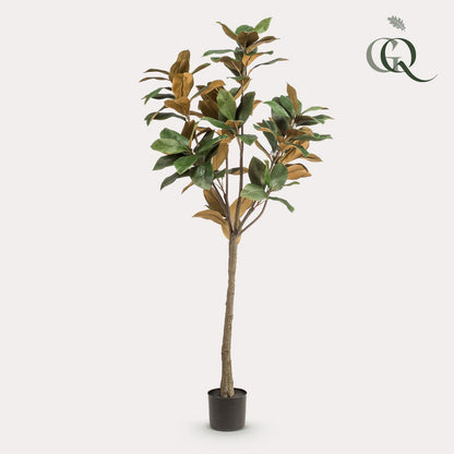 Kunstplant Magnolia Grandiflora 150 cm
