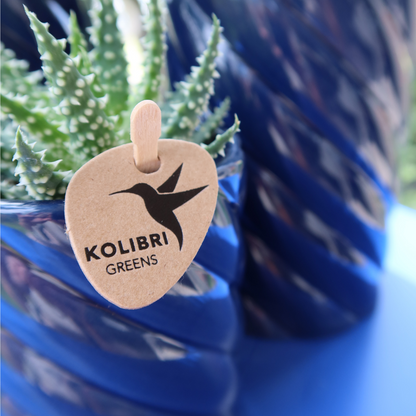 Round Decorative Pot Ceramic Blue Ø6 cm