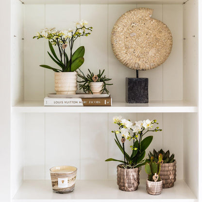 Marble Light Sierpotten Set van 3 | Diverse Maten