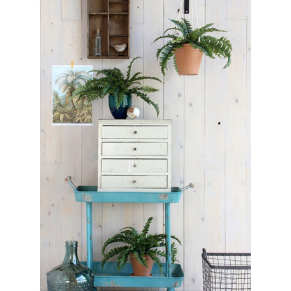 Artificial plant Boston fern Green