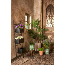 Plantenmand set 3 donkergroen wit gerecycled plastic