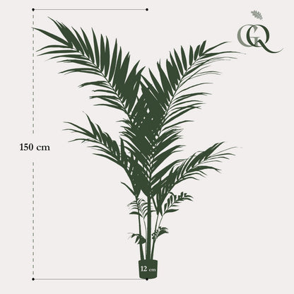 Kunstplant Kentia Kentiapalm 150 cm groen