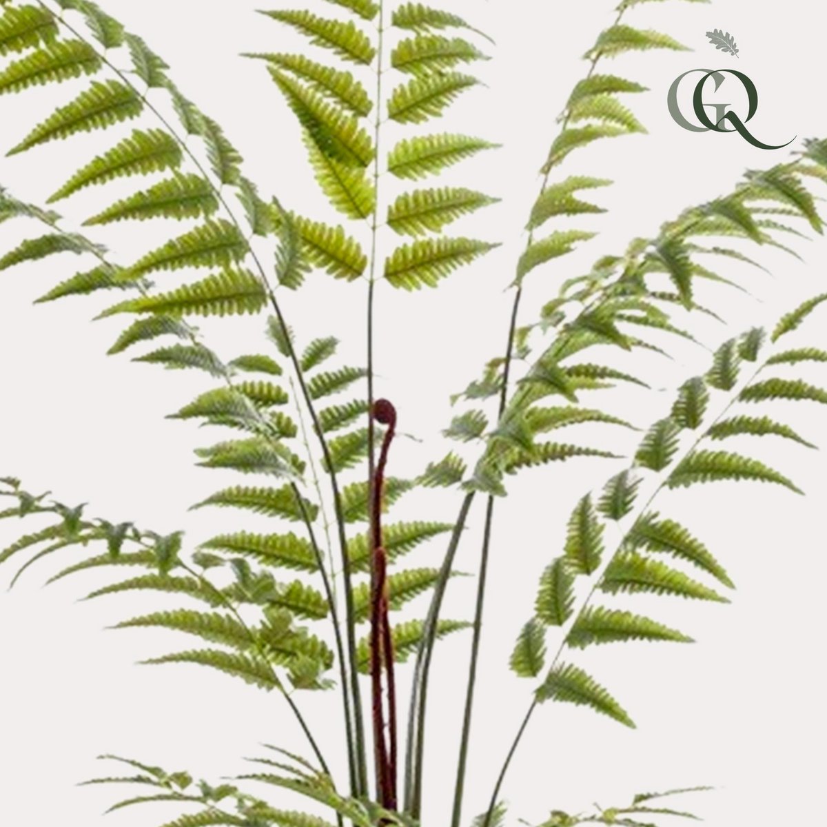 Kunstplant Ledervaren 180 cm groen