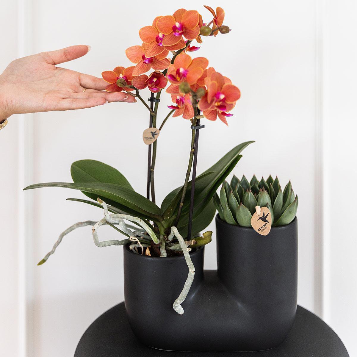 Duo sierpot keramiek voor 2x 9 cm planten