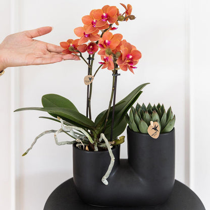 Duo sierpot keramiek voor 2x 9 cm planten