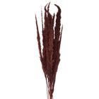 Droogboeket 100 cm bruin
