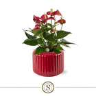 Sierpot keramiek 16 cm verticaal ribpatroon glanzend donkerrood