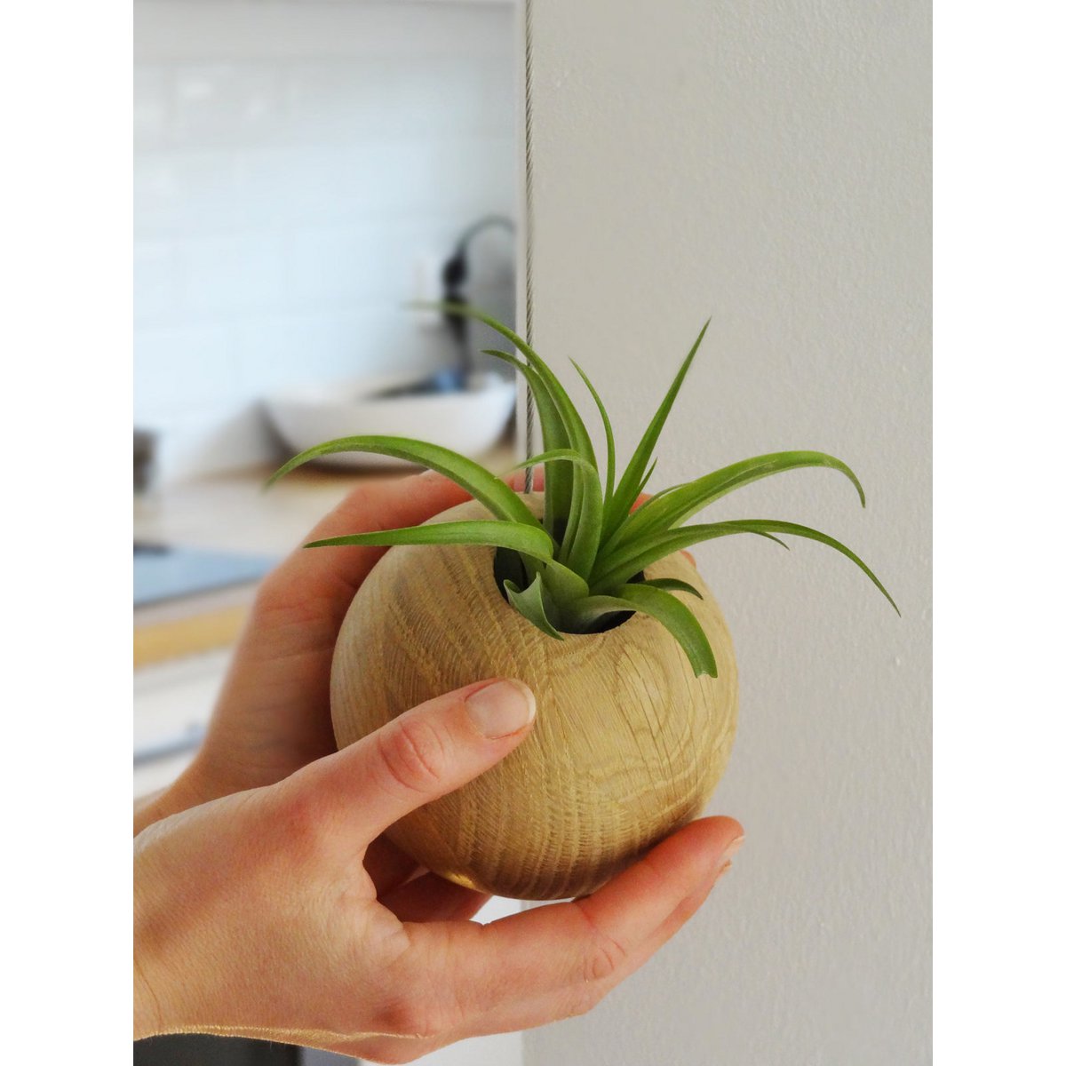 Hangbol licht eiken Ø10 cm
