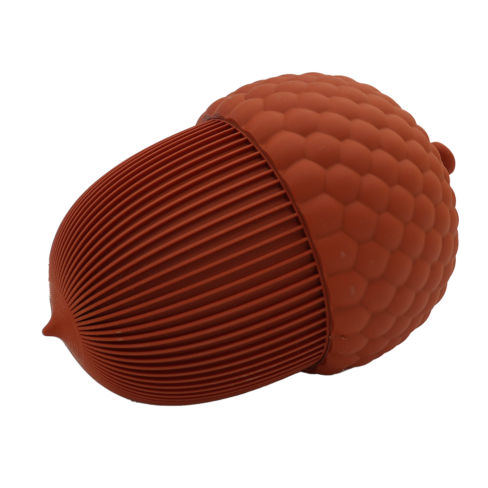 Autumn acorn