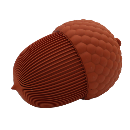 Autumn acorn