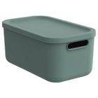 Rotho Albula Storage Box 12L Mistletoe Green