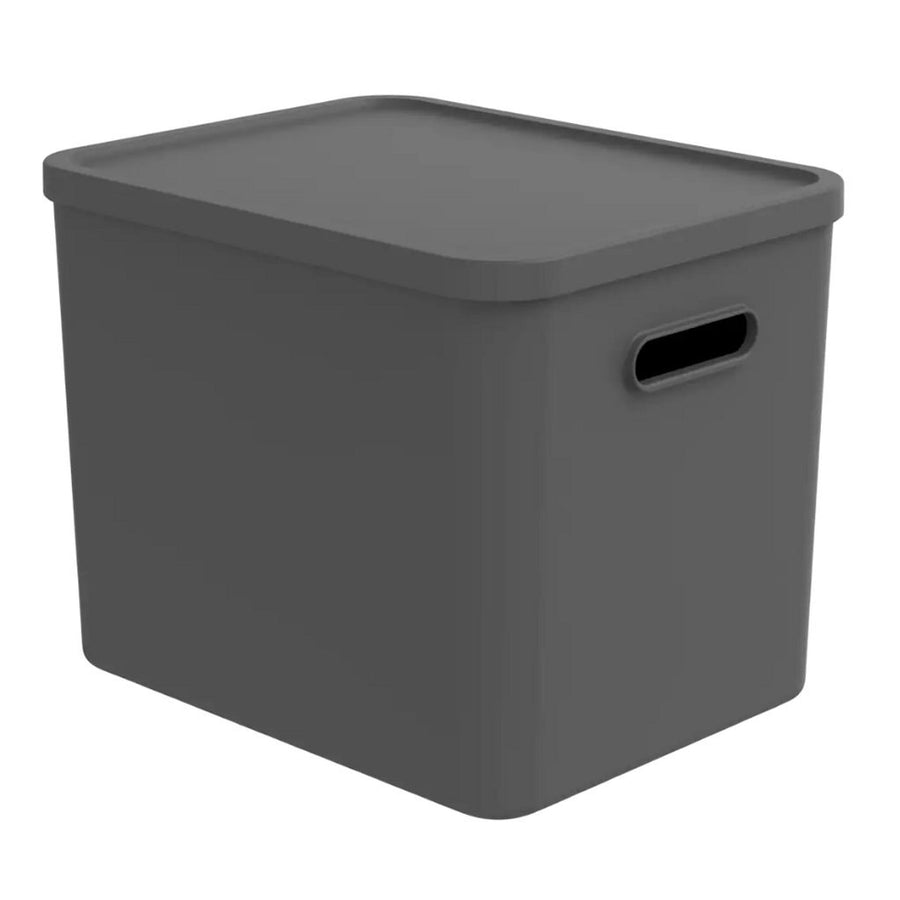 Rotho Albula Multibox 29.5X29X37 Cm 27L Antraciet