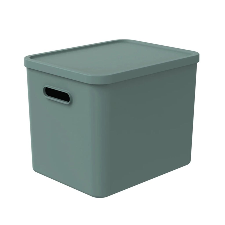 Rotho Albula Multibox 29.5X29X37 Cm 27L Mistletoe Groen