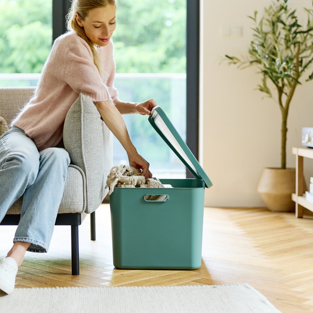 Rotho Albula Multibox 55L Mistletoe Groen