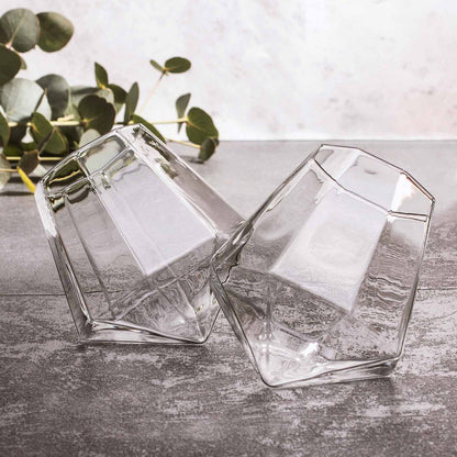 Whiskey glazen diamantvormig set van 2 borosilicaatglas