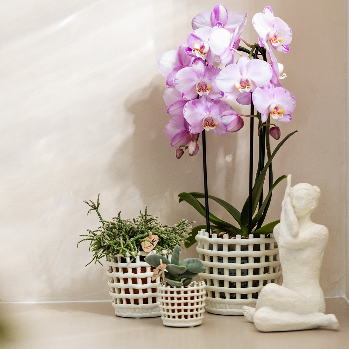 Sierpot keramiek mesh wit set van 3 (6, 9, 12 cm)