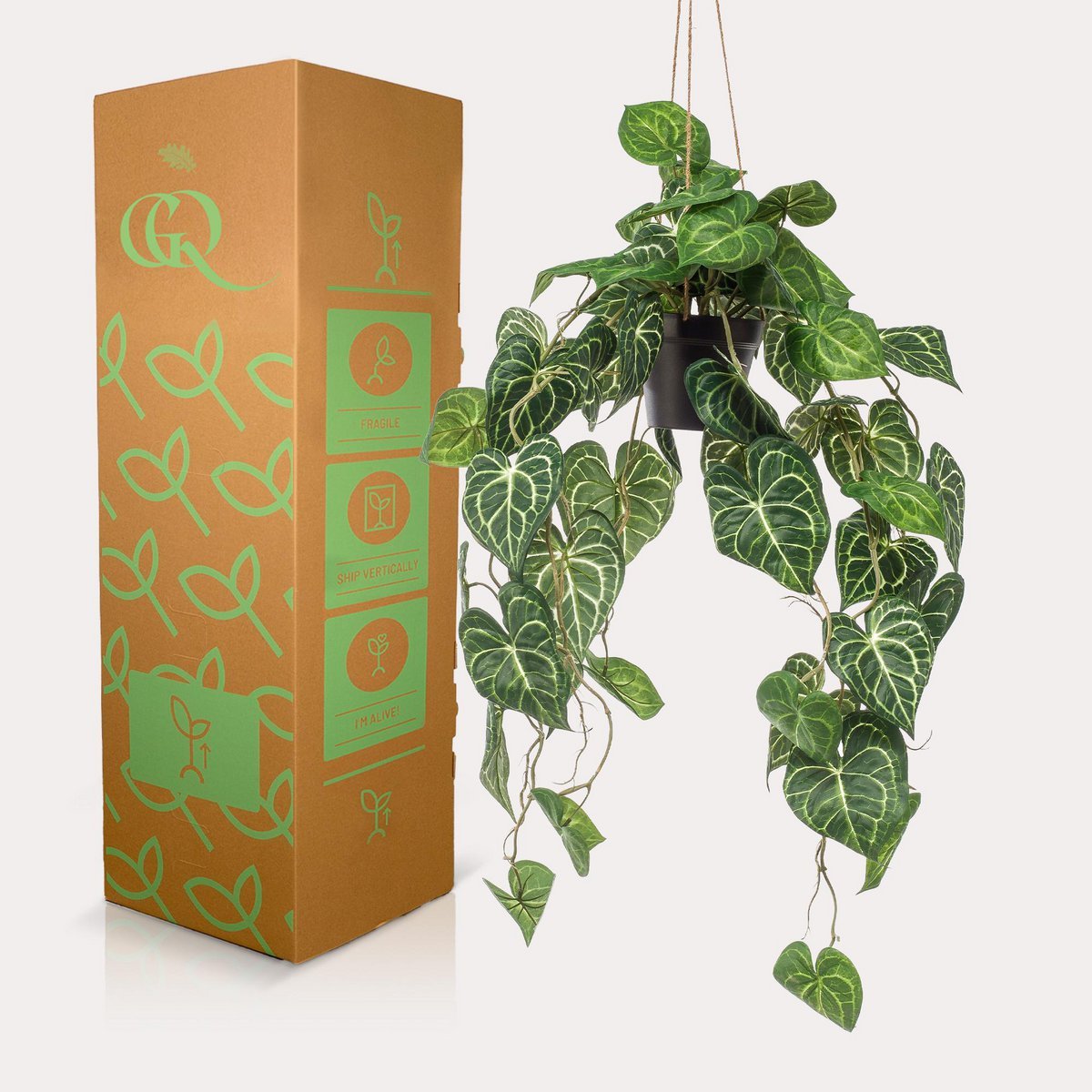 Kunstplant Anthurium Clarinervium hangplant 80 cm