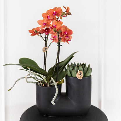 Duo sierpot keramiek voor 2x 9 cm planten