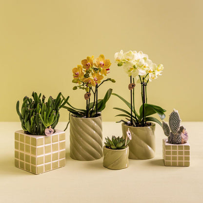 Sierpot 6 cm groen keramiek