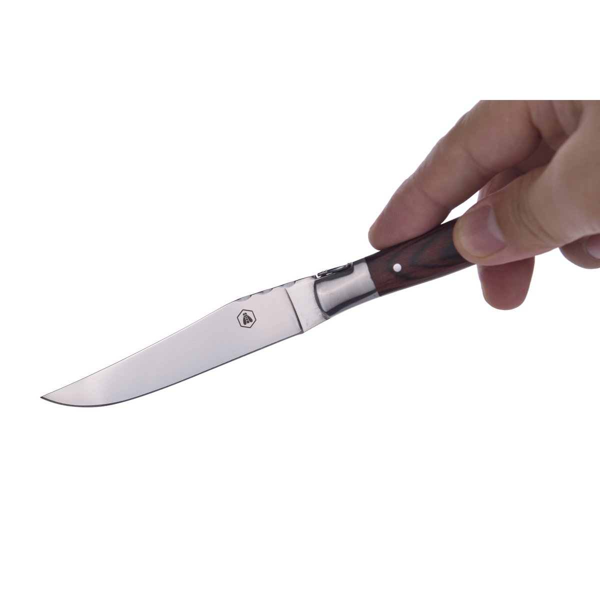 Laguiole steakmessen set 6 stuks rood zwart bruin