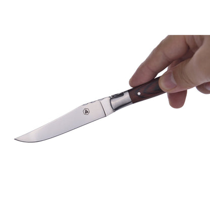 Laguiole steakmessen set 6 stuks rood zwart bruin
