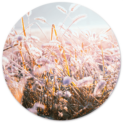 Muurcirkel winter morning flower 60 cm Dibond