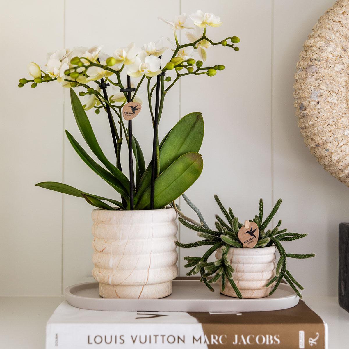 Marble Light Sierpotten Set van 3 | Diverse Maten