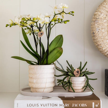 Marble Light Sierpotten Set van 3 | Diverse Maten