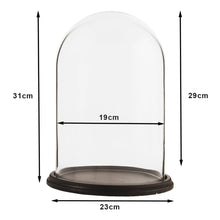 Bell jar Ø 23x31 cm Brown Wood Glass Bell Jar