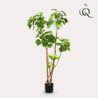 Kunstplant Polyscias Aralia 135 cm