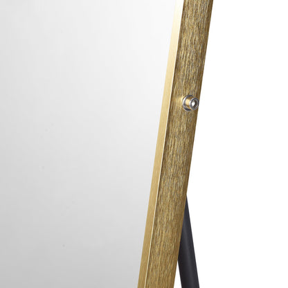 Spiegel 50x160 cm goud aluminium