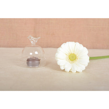Glasdeksel vogel transparant 5,5x5,5x6,5 cm