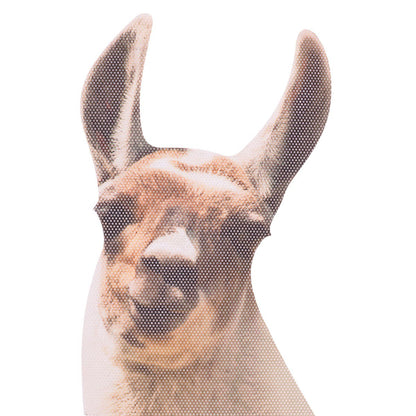 Raamsticker auto 29x19 cm Llama