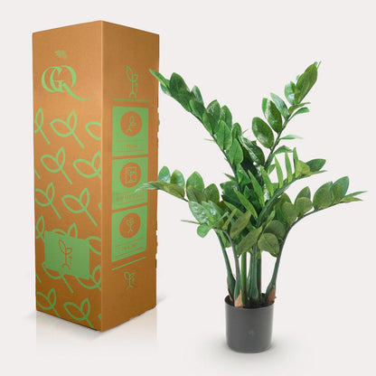 Kunstplant Zamioculcas 70 cm