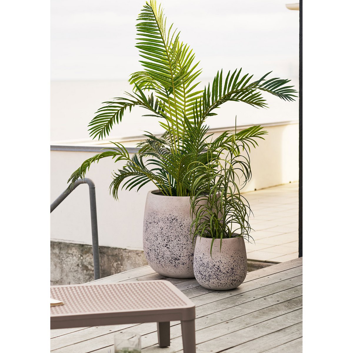 Grasplant, groen, H:68 cm