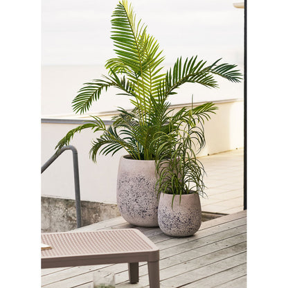 Grasplant, groen, H:68 cm