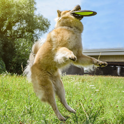 NE & NO® Dog-having-beat / Wide-flying dog toy