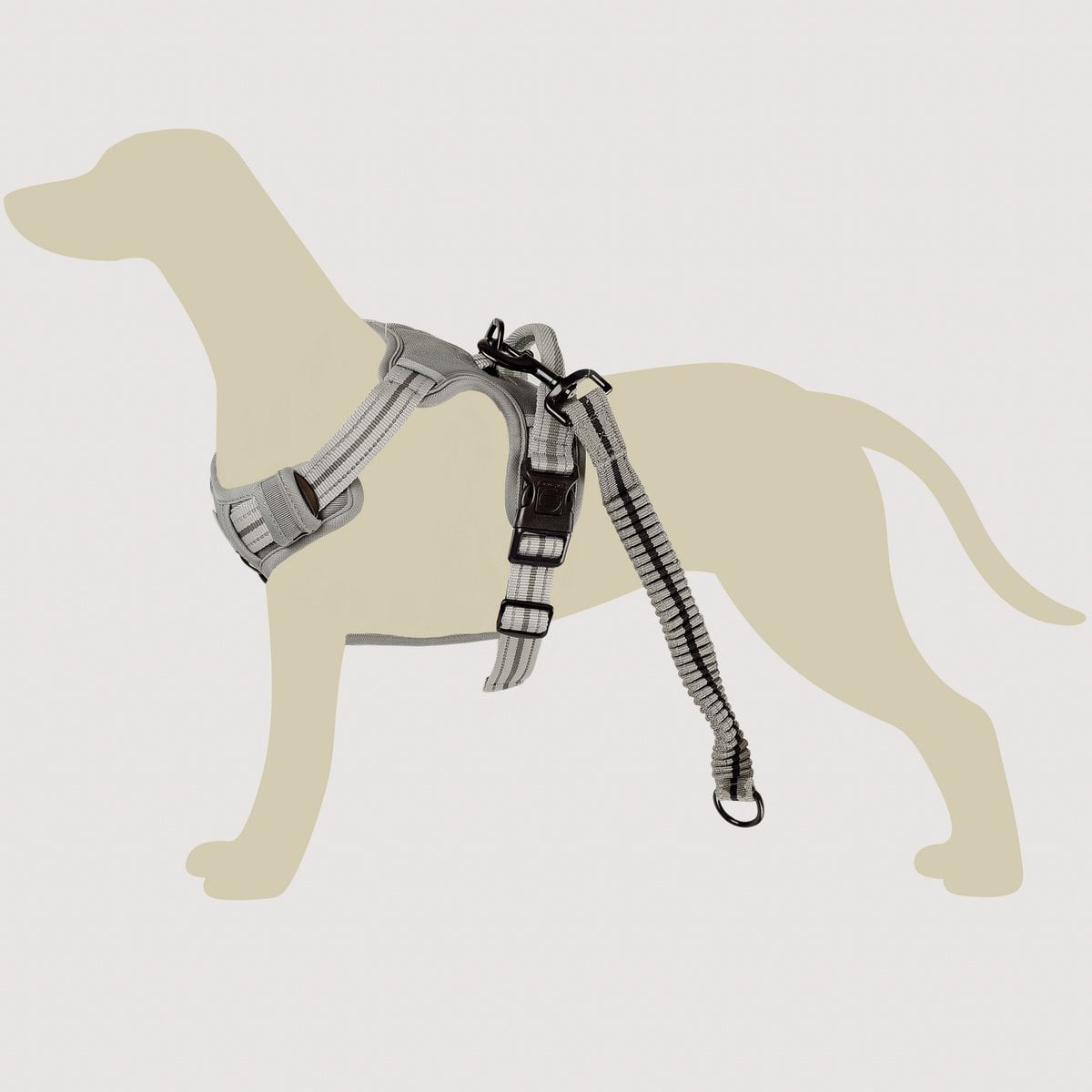 ne&no® Dog Harness with Matching Shock Absorber [DEVELOPED by NE&NO]