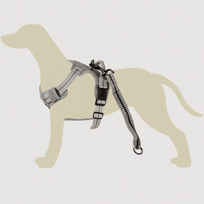 ne&no® Dog Harness with Matching Shock Absorber [DEVELOPED by NE&NO]