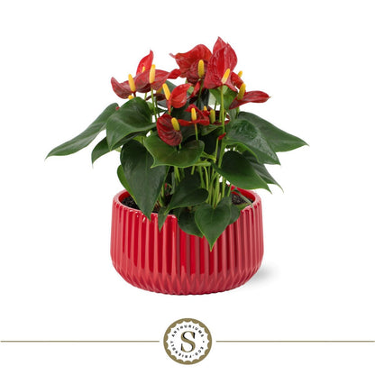 Keramieken pot 18 cm ribbelstructuur