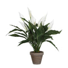 Kunstplant Spathiphyllum 50 cm wit
